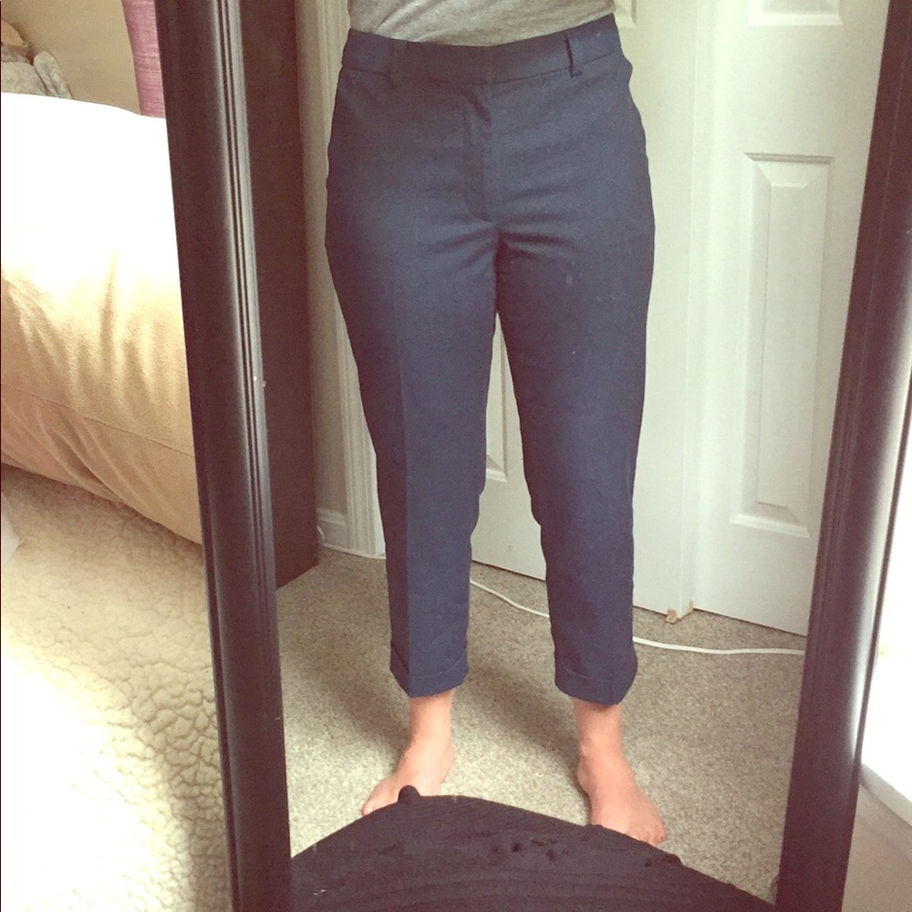 Banana Republic Factory Crop Pants size 6